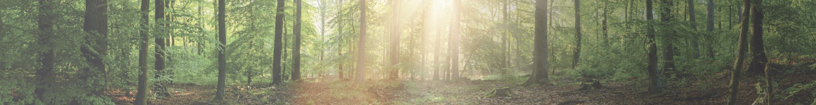Banner-Post-Medio-ambiente-TPC